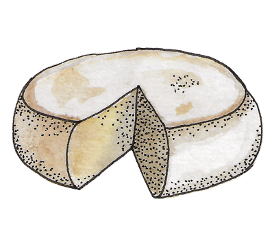 cheese-02
