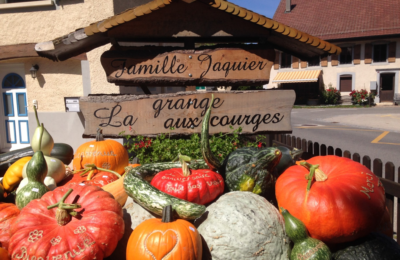 courges