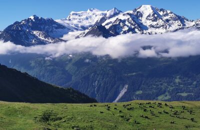 Bagnes – Alpage de la Chaux 3