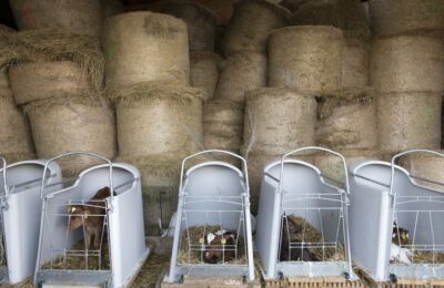 une-nouvelle-donne-agro-alimentaire-936×546