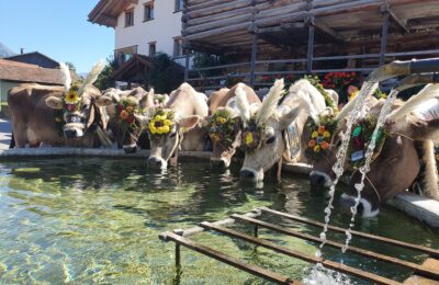 Photo 3._Preis__Odermatt_Anita_Kreuzgassenbrunnen__Fideris_05.09.20_