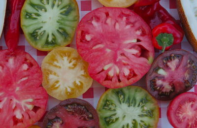 l’âme des tomates