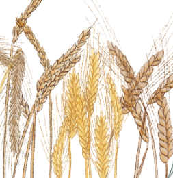 Capture d’écran 2024-08-12 à 09.57.47