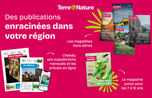 Visuel 300x195px semaine suisse du gout